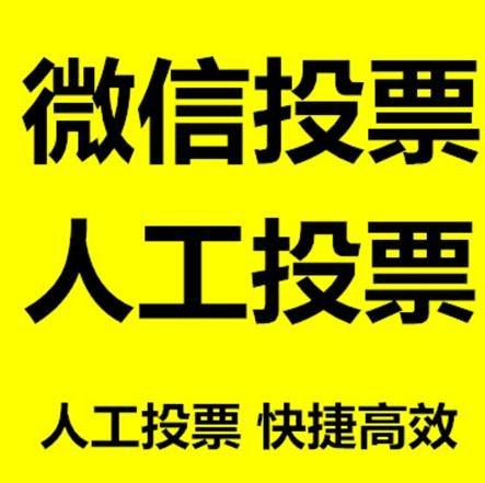 萍乡市投票活动拉票能被查出来吗？如何操作能不被发现？
